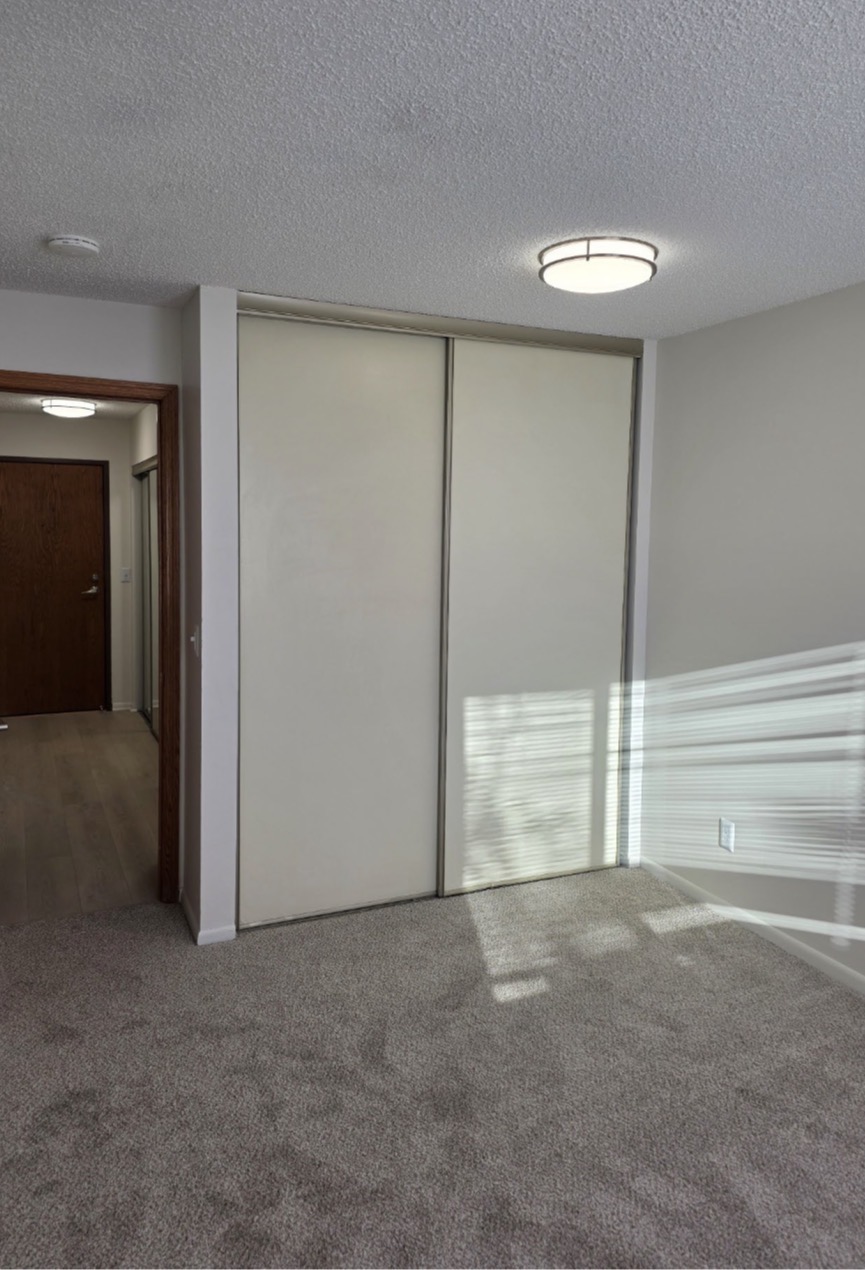 New Carpet and Closet Doors