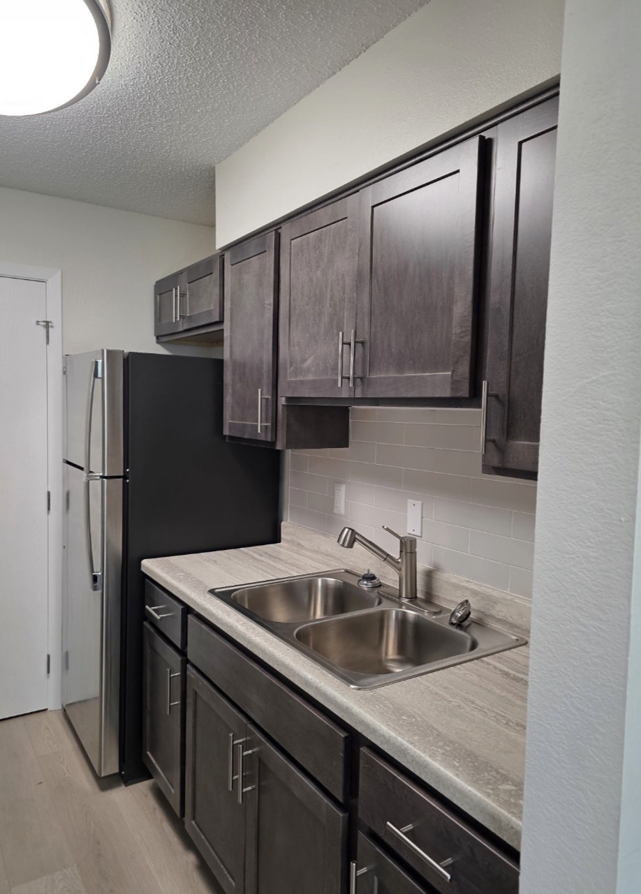 Modern Kitchen with Dark Cabinets