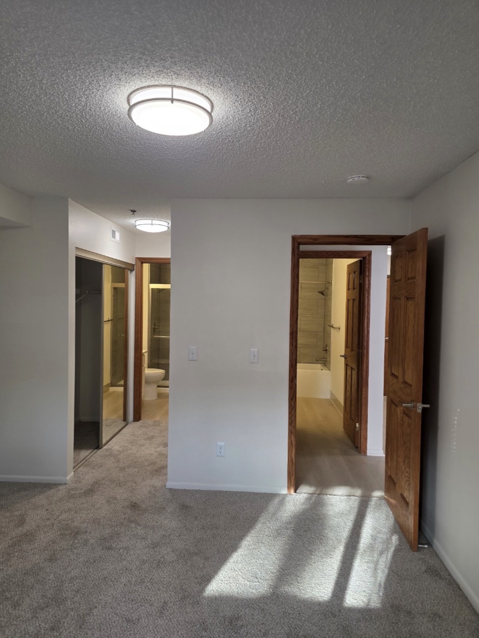 New Carpet and Wood Flooring