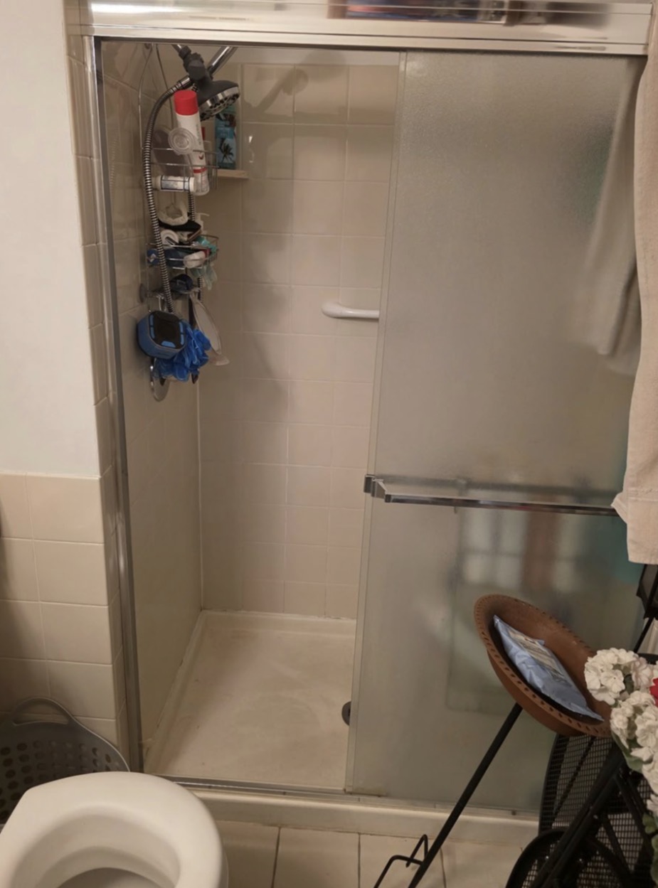 Bathroom Shower Remodel — before