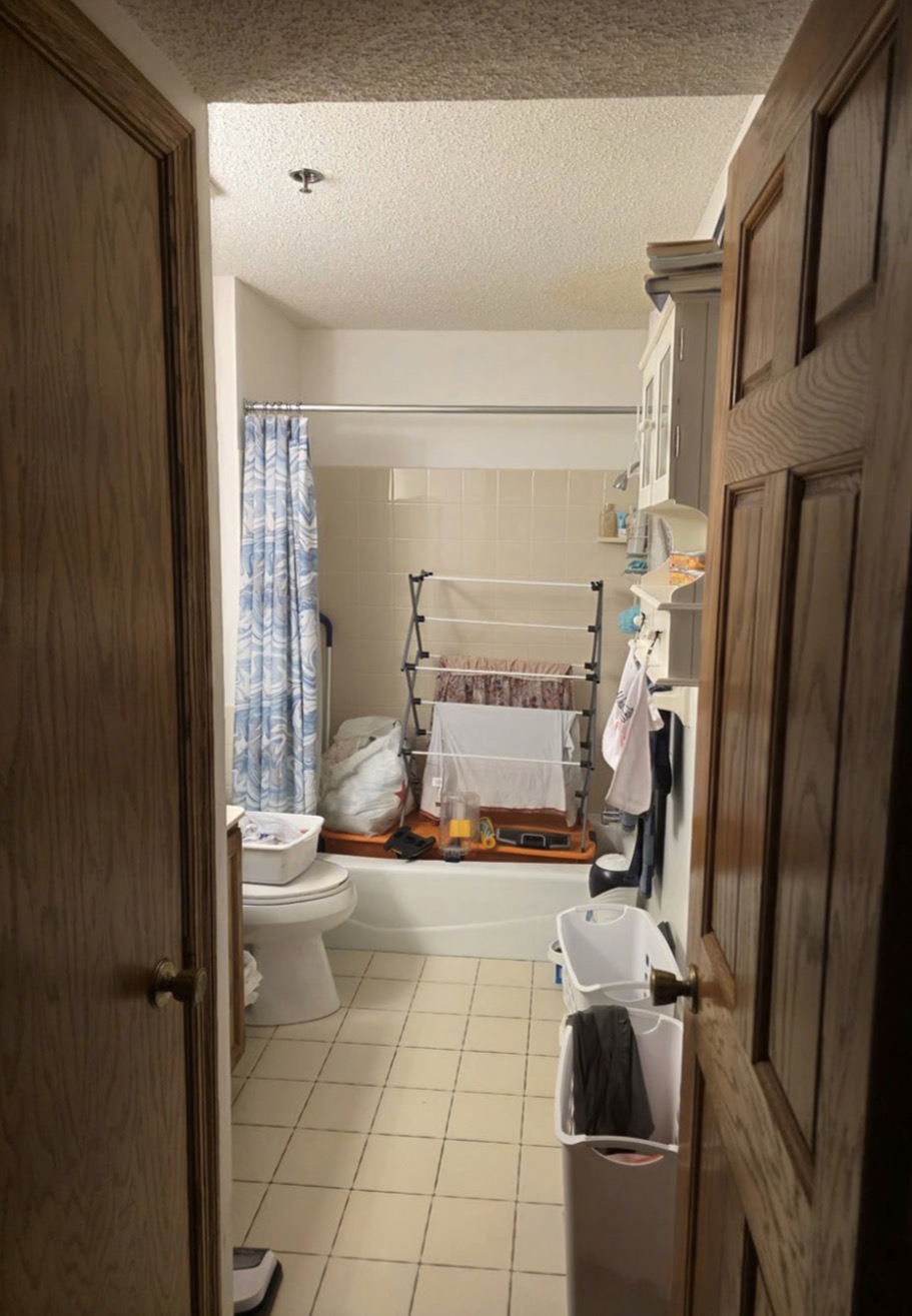 Bathroom Remodel — before