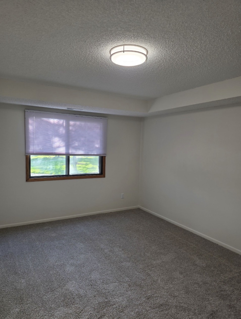 New Carpet in Empty Room