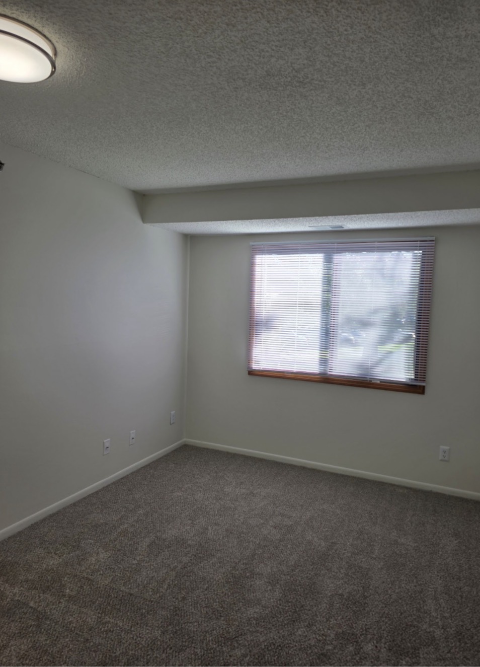 New Carpet in Room